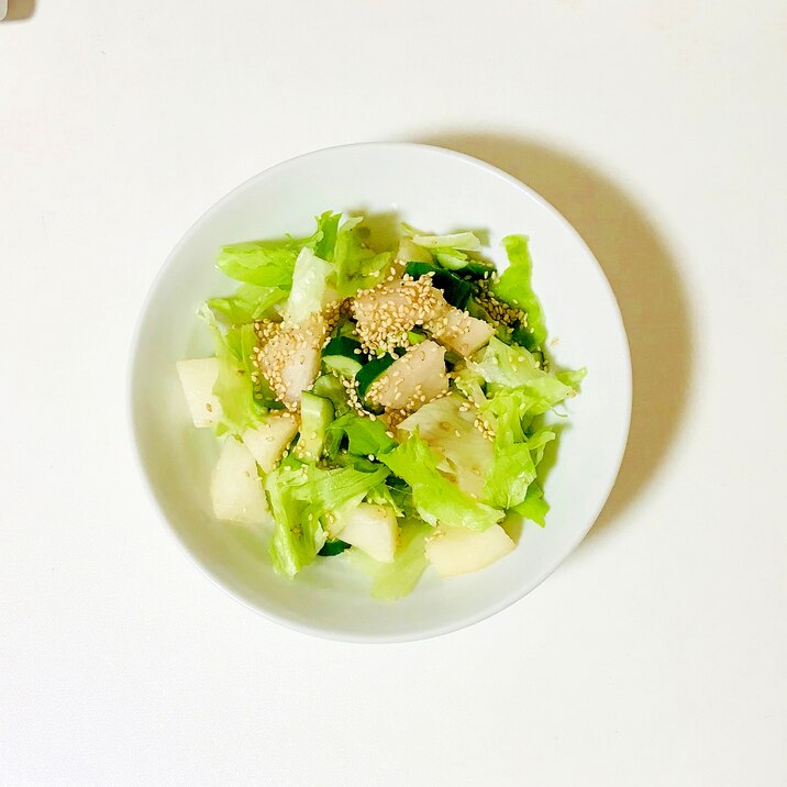 梨入り生野菜サラダ
